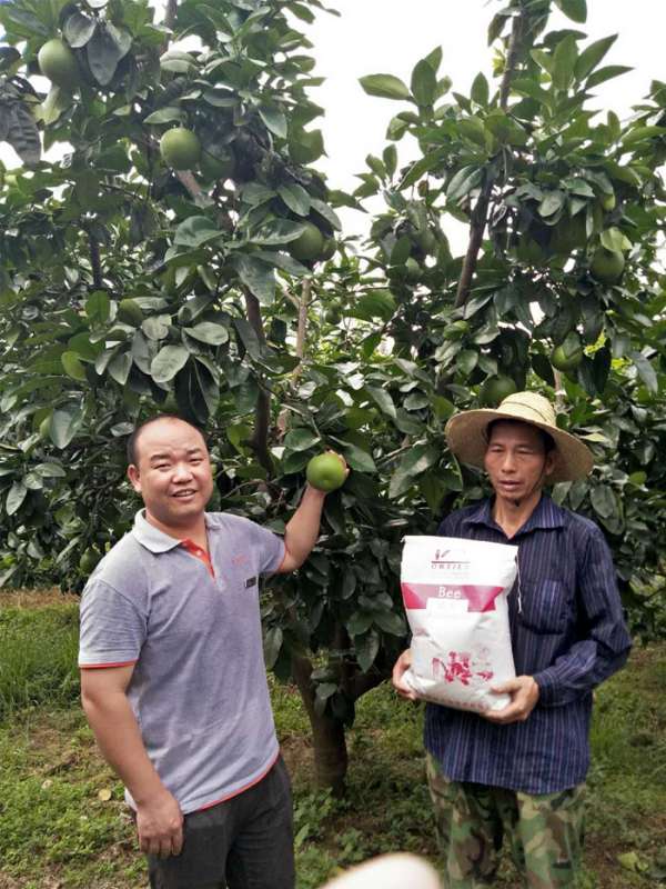 柚子用戶反饋